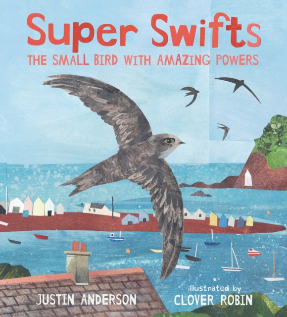 Super Swifts: The Small Bird With Amazing Powers