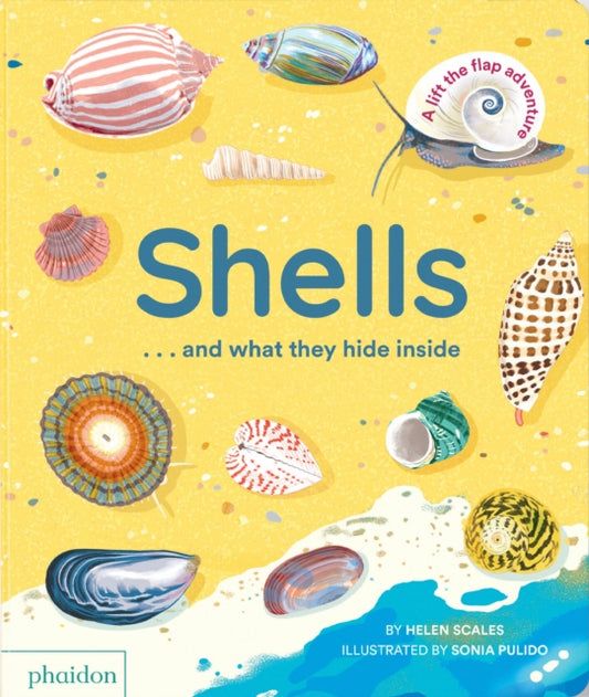 Shells... and what they hide inside: A Lift-the-Flap Adventure