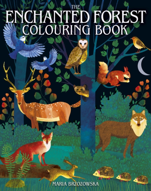 The Enchanted Forest Colouring Book