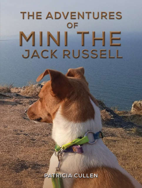 The Adventures of Mini the Jack Russell