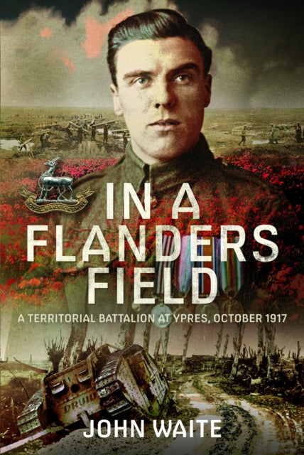 In A Flanders Field: A Territorial Battalion at Ypres, October 1917