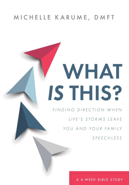 What Is This?: Finding Direction When Life's Storms Leave You and Your Family Speechless