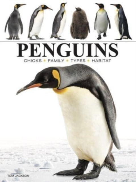 Penguins