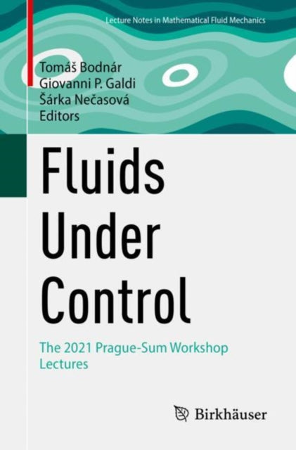 Fluids Under Control: The 2021 Prague-Sum Workshop Lectures