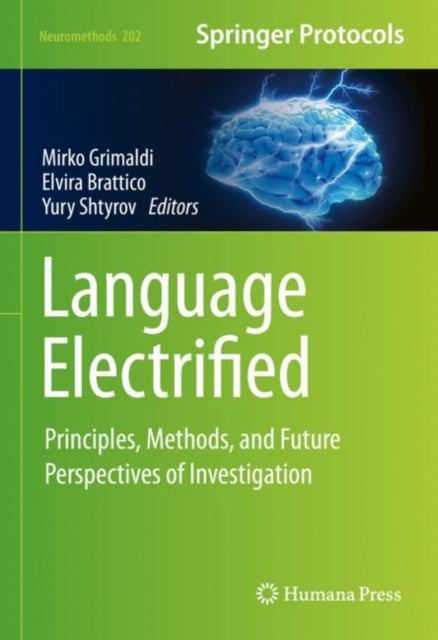 Language Electrified: Principles, Methods, and Future Perspectives of Investigation