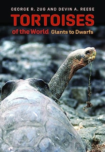 Tortoises of the World: Giants to Dwarfs