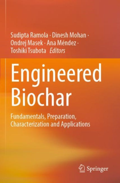 Engineered Biochar: Fundamentals, Preparation, Characterization and Applications