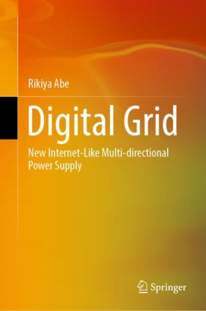 Digital Grid: New Internet-Like Multi-directional Power Supply