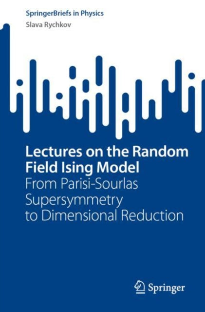 Lectures on the Random Field Ising Model: From Parisi-Sourlas Supersymmetry to Dimensional Reduction
