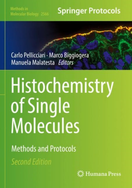 Histochemistry of Single Molecules: Methods and Protocols