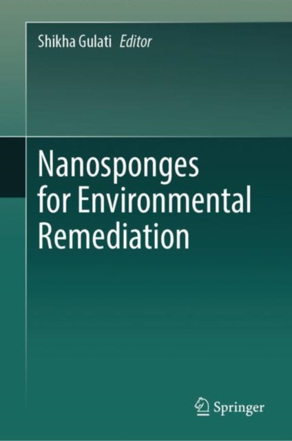 Nanosponges for Environmental Remediation