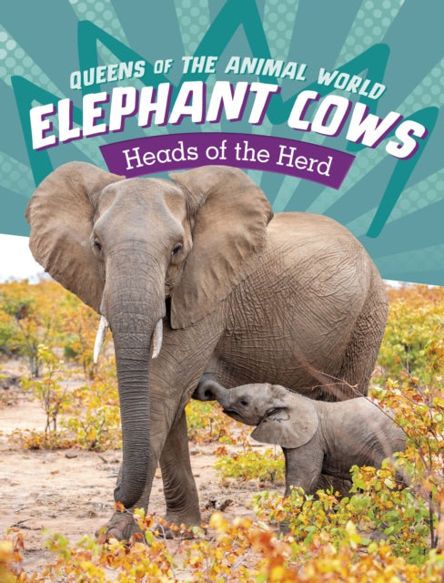 Elephant Cows: Heads of the Herd