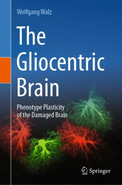The Gliocentric Brain: Phenotype Plasticity of the Damaged Brain