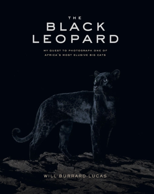 The Black Leopard: My Quest to Photograph One of Africa's Most Elusive Big Cats