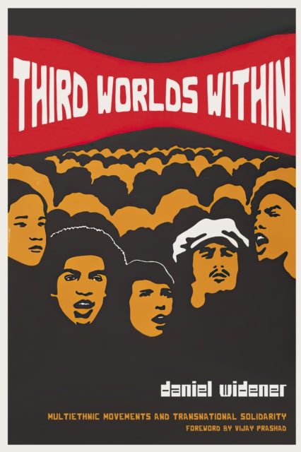 Third Worlds Within: Multiethnic Movements and Transnational Solidarity