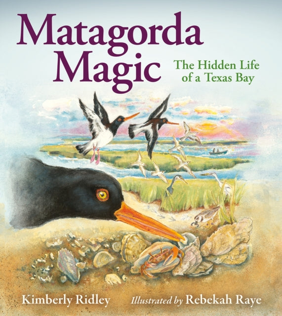 Matagorda Magic: The Hidden Life of a Texas Bay