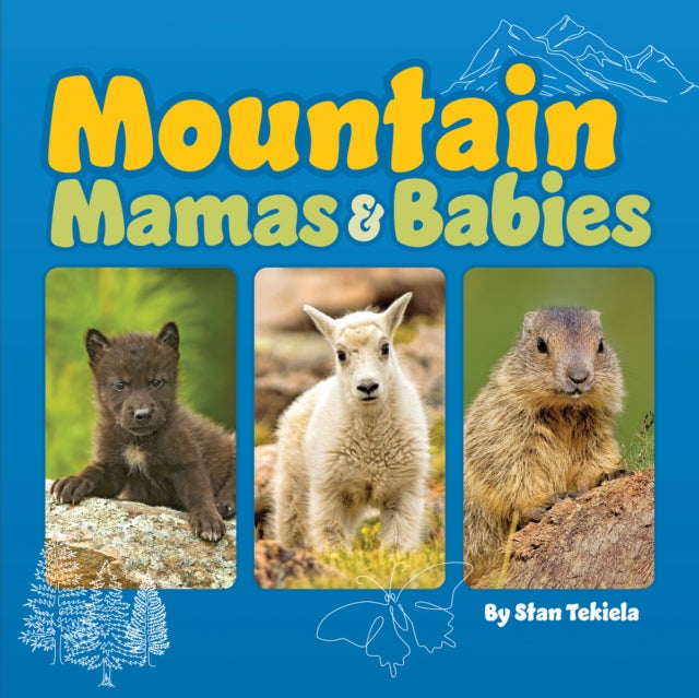 Mountain Mamas and Babies