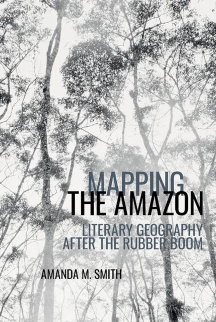 Mapping the Amazon: Literary Geography after the Rubber Boom