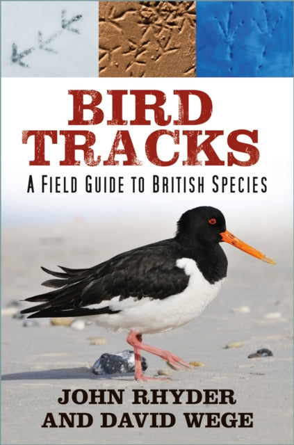 Bird Tracks: A Field Guide to British Species