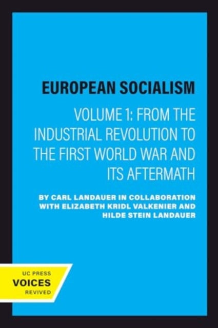 European Socialism, Volume I: From the Industrial Revolution to the First World War and Its Aftermath