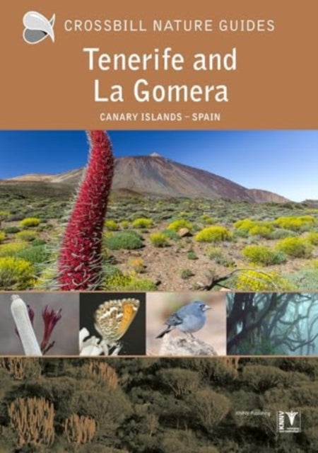 Tenerife and La Gomera: Canary Islands – Spain