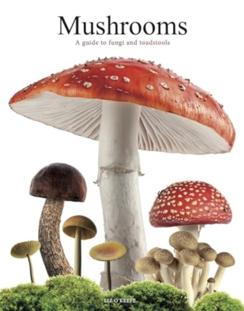 Mushrooms: A guide to fungi and toadstools