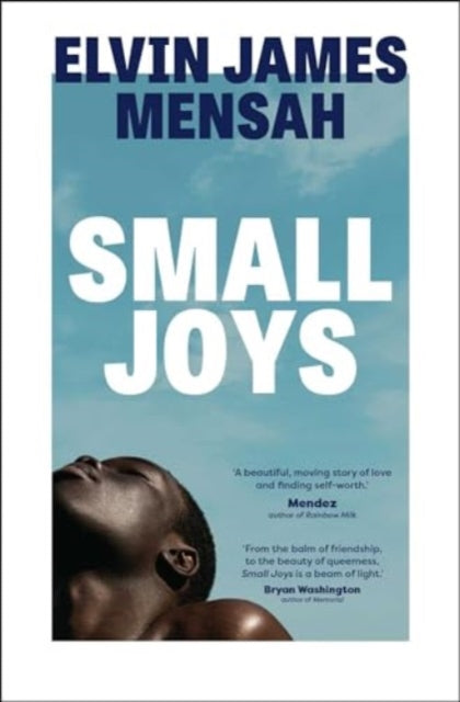 Small Joys: A Buzzfeed 'Amazing New Book You Need to Read ASAP'
