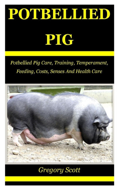 Potbellied Pig: Potbellied Pig Care, Training, Temperament, Feeding, Costs, Senses And Health Care