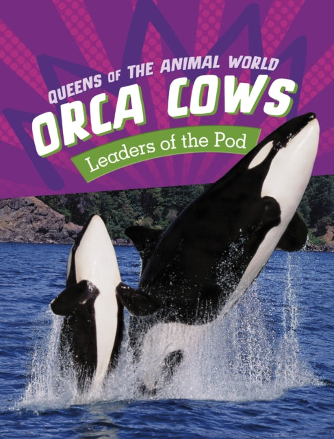 Orca Cows: Leaders of the Pod