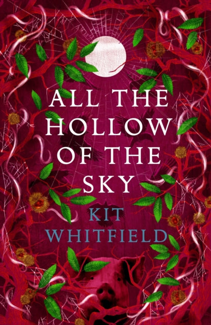 All the Hollow of the Sky: An enthralling novel of fae, folklore and forests