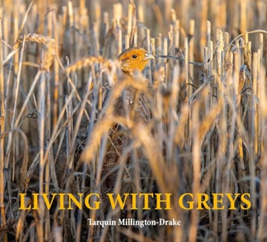 Living with Greys: A celebration of the grey partridge
