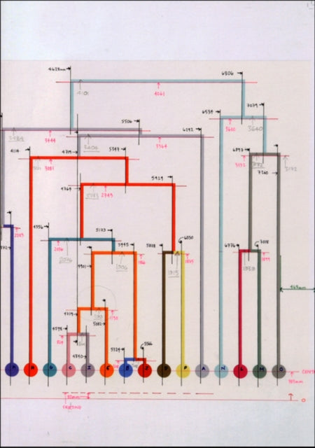 Alison Turnbull - Vitis vinifera L.