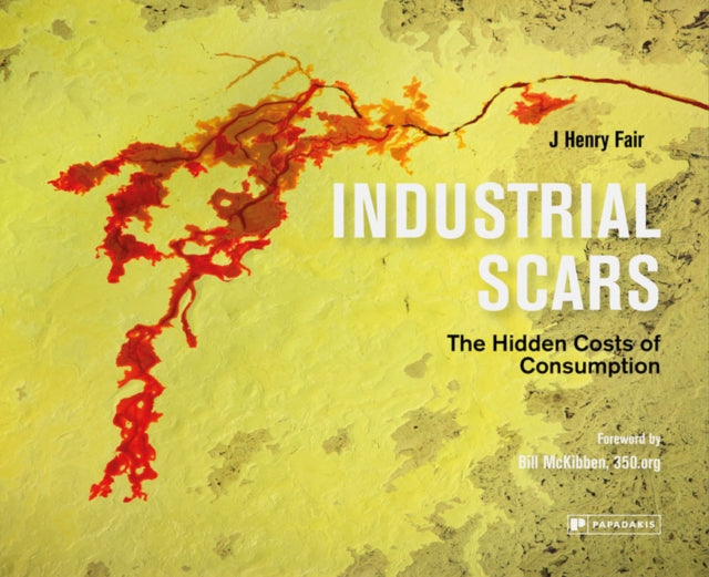 Industrial Scars: The Hidden Costs of Consumption