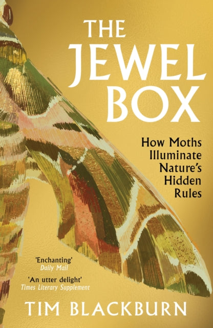 The Jewel Box: How Moths Illuminate Nature’s Hidden Rules