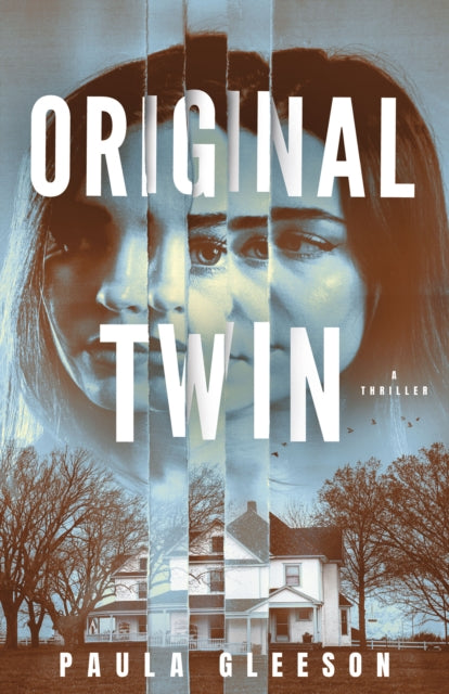 Original Twin: A Thriller