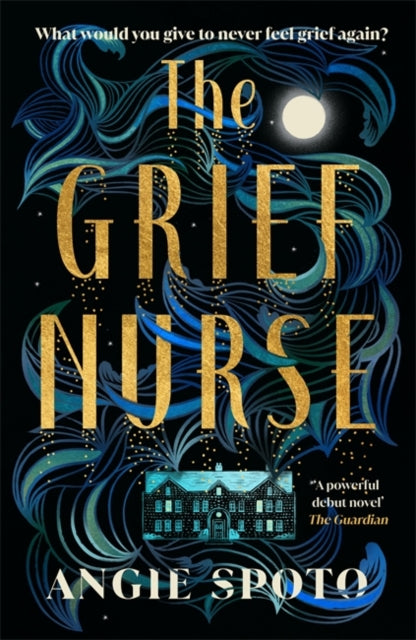 The Grief Nurse: 'A powerful debut novel' - The Guardian