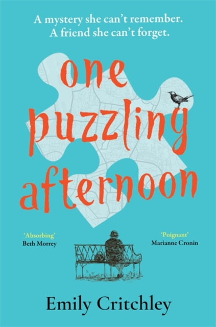 One Puzzling Afternoon: The most compelling, heartbreaking debut mystery