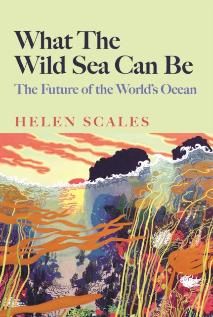 What the Wild Sea Can Be: The Future of the World's Ocean