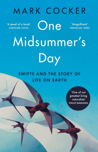 One Midsummer's Day: Swifts and the Story of Life on Earth