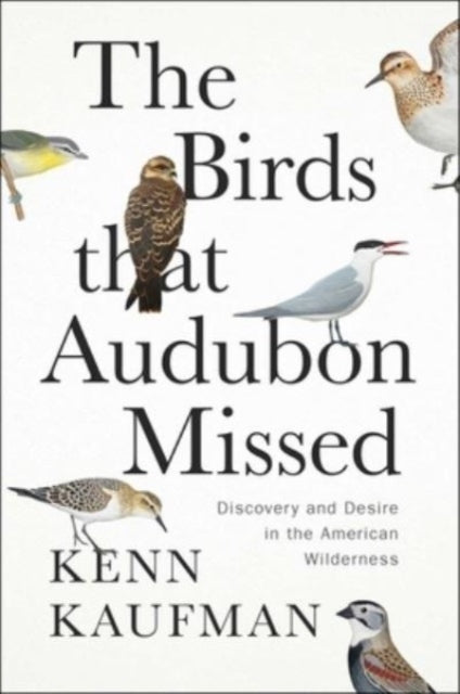 The Birds That Audubon Missed: Discovery and Desire in the American Wilderness