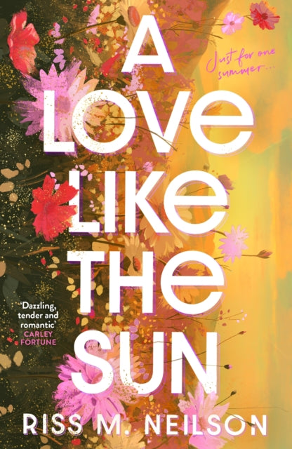 A Love Like the Sun: The tender and unforgettable romantic debut for 2024