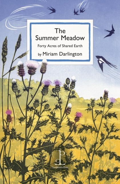 The Summer Meadow: Forty Acres of Shared Earth