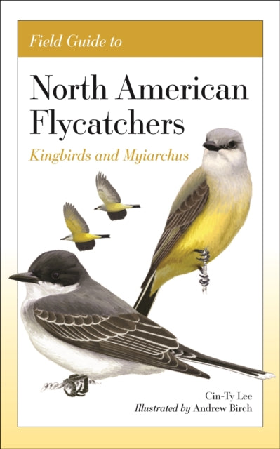 Field Guide to North American Flycatchers: Kingbirds and Myiarchus