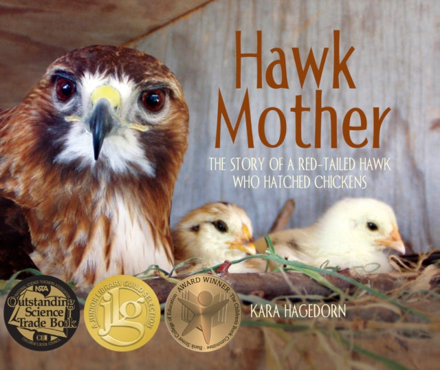 Hawk Mother: The Story of a Red-tailed Hawk Who Hatched Chickens