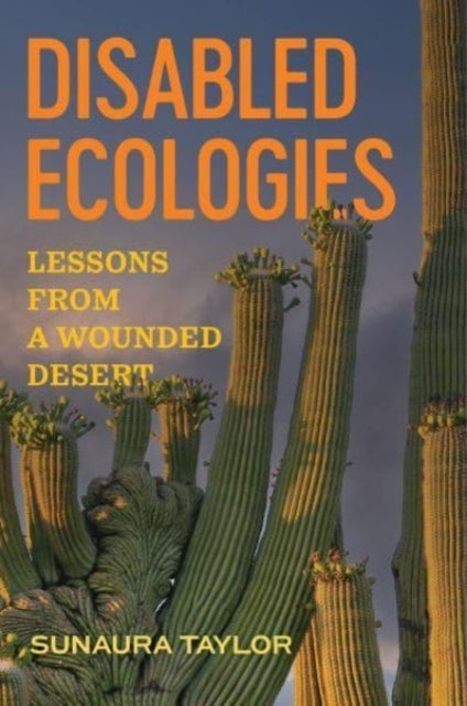 Disabled Ecologies: Lessons from a Wounded Desert