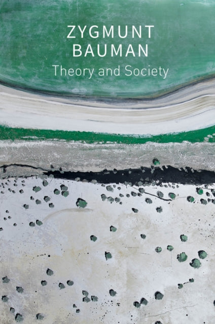 Theory and Society: Selected Writings