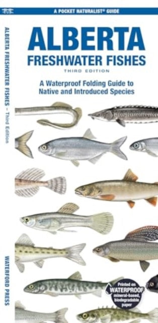 Alberta Freshwater Fishes: A Waterproof Folding Guide to Native and Introduced Species