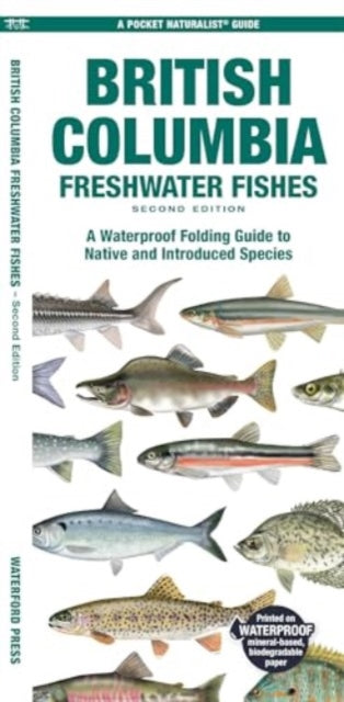 British Columbia Freshwater Fishes: A Waterproof Folding Guide to Native and Introduced Species