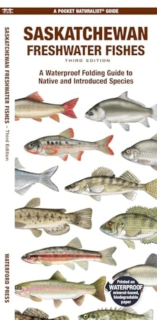 Saskatchewan Freshwater Fishes: A Waterproof Folding Guide to Native and Introduced Species