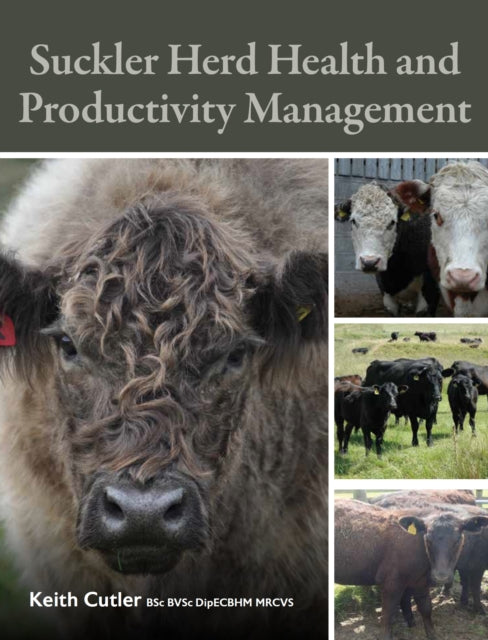 Suckler Herd Health and Productivity Management